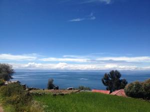 253428_10151392785145334_286231389_n