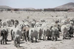 525406_10151346444217181_703420050_n