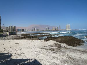 922933_10151616888134668_1464878371_n