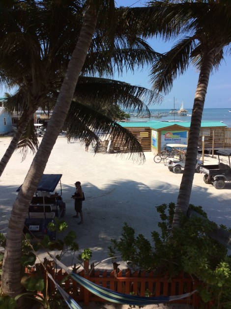 20160422_202927869_iOS