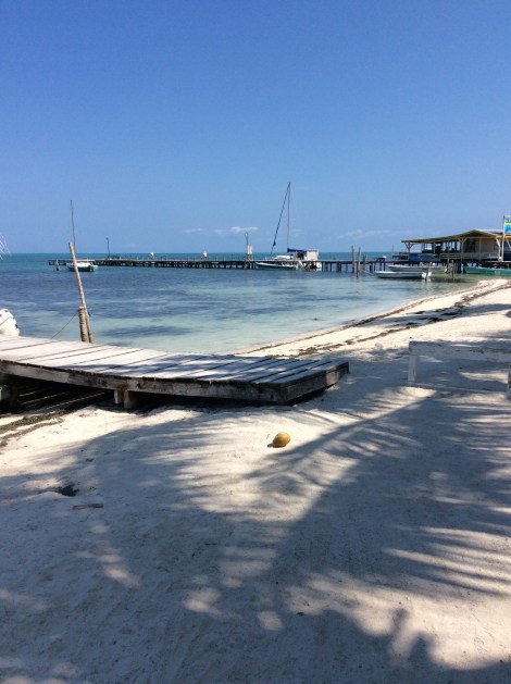 20160422_203604378_iOS