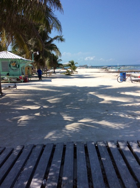 20160422_204201243_iOS