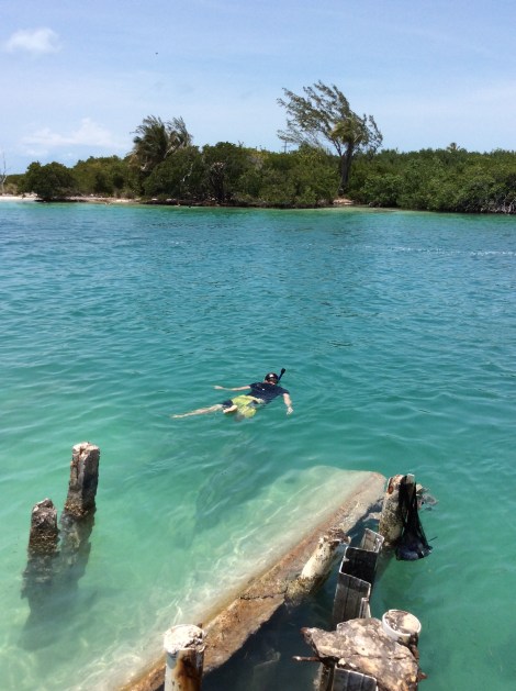 20160423_180551598_iOS