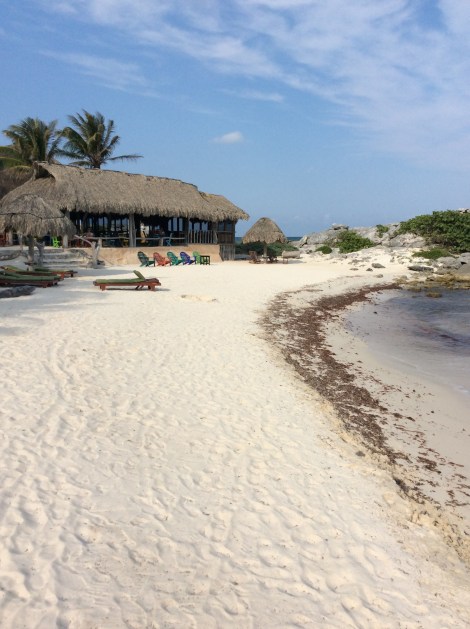 20160425_215537118_iOS