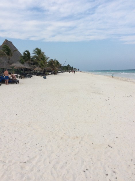 20160425_223521726_iOS