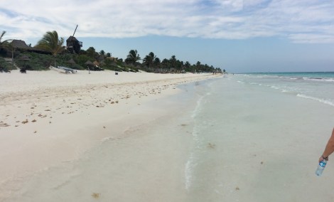 20160425_223702205_iOS