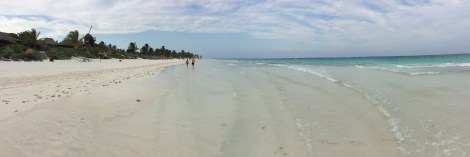 20160425_223746144_iOS