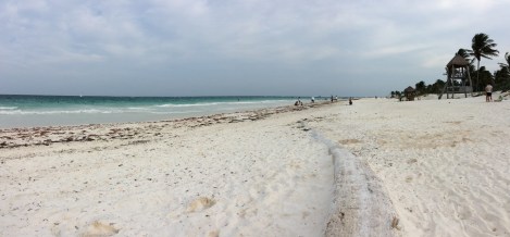 20160425_225612942_iOS