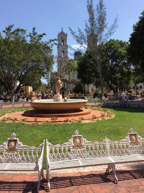 20160427_194629108_iOS