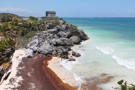 tulum-beach-ruins-seaweed