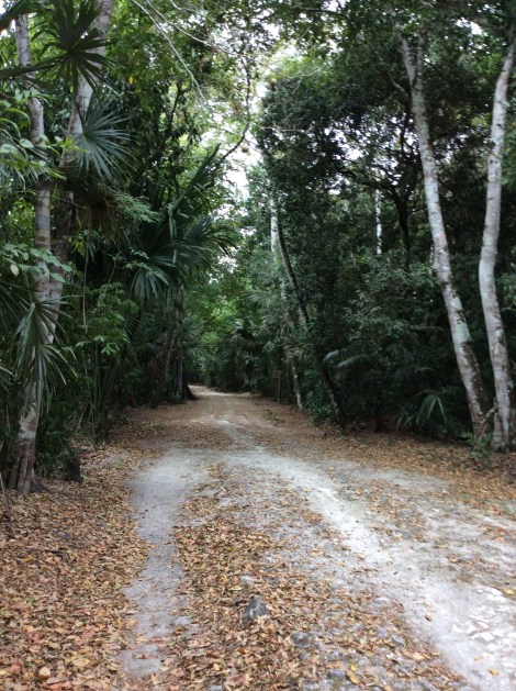 20160420_130742398_iOS