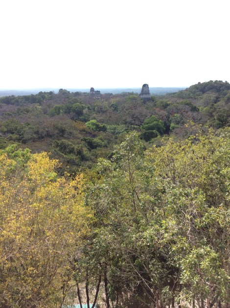 20160420_143832062_iOS