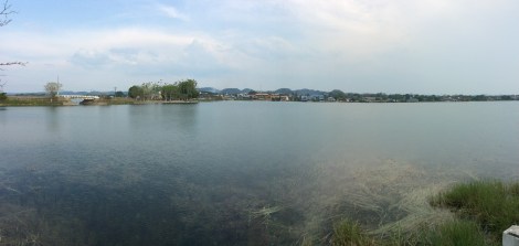 20160420_225740800_iOS