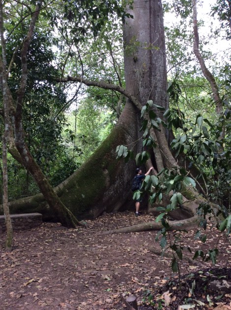 20160312_153712218_iOS