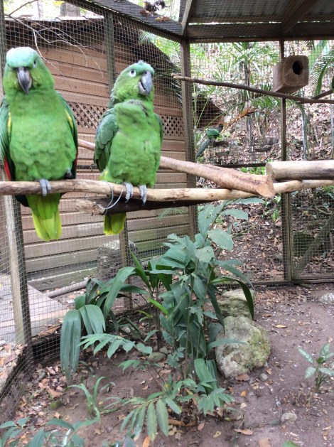 20160313_161958940_iOS