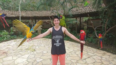 20160314_045212000_iOS