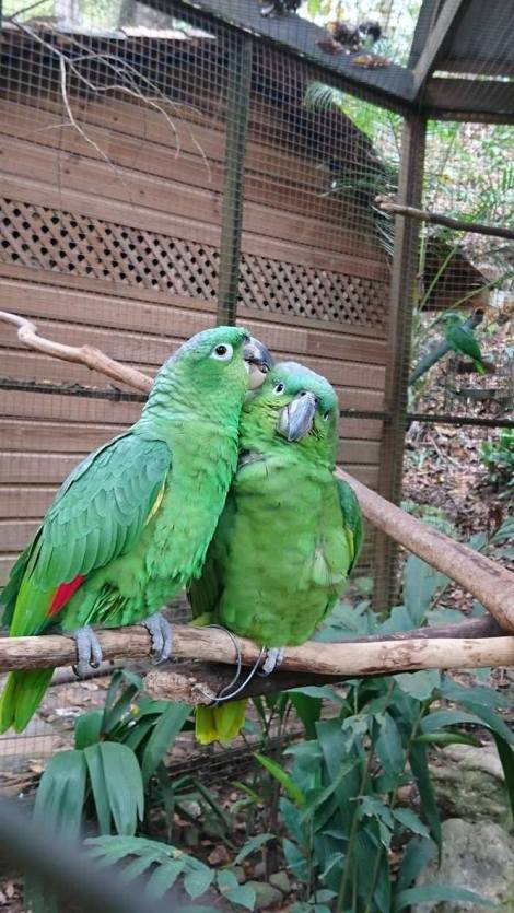 20160314_045311000_iOS