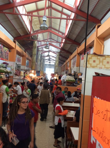 20160509_163604338_iOS