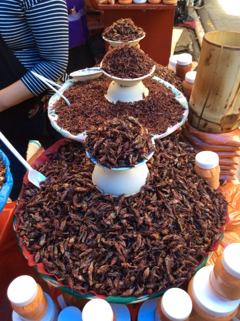 20160509_163842814_iOS