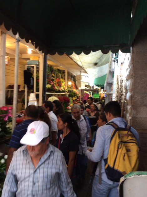 20160509_164123220_iOS