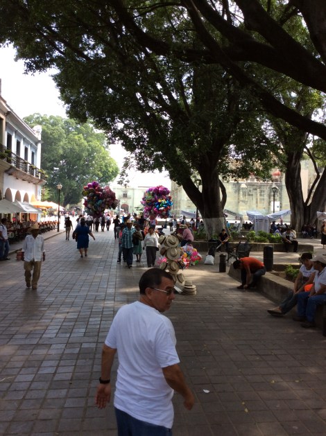 20160509_164621983_iOS