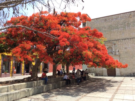 20160509_171016548_iOS