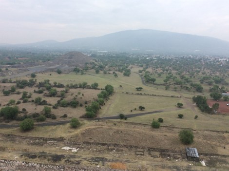 20160516_143204796_ios