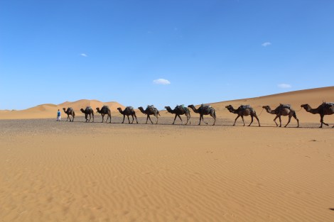 Foto 19-6-18 18 52 08